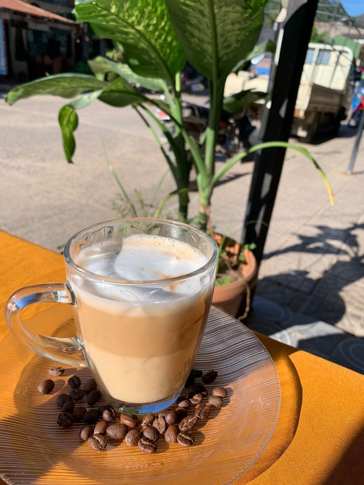 Perfect latte served in the jungle atmosphere